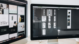 pexels-tranmautritam-326518